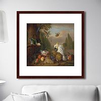 картина: a cockatoo, a parrot, a jay and other birds, 1715г. в Брянске