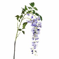 глициния сиреневая 142 см (18) в Брянске