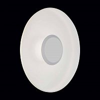 уличный настенный светодиодный светильник st luce sl925.501.01 в Брянске
