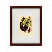 картина: les plantes a feuillage color, 1869 в Брянске