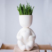 набор для выращивания eco романтик в Брянске