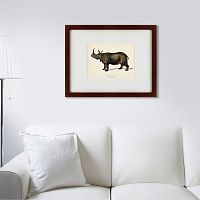 картина: rhinoceros ancienne gravure, 1849 в Брянске