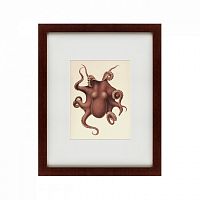 картина: pacific octopus, 1731 в Брянске