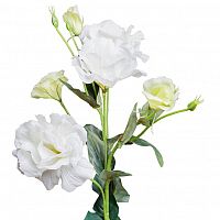 лизиантус белый 77 см (12) в Брянске