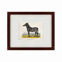 картина: a zebra, 1830 в Брянске