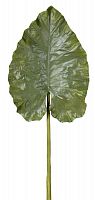 декор giant taro leaf в Брянске