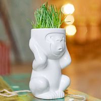 горшок для растений eco игнорик в Брянске