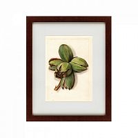 картина: watercolor collection, drawing №1, 1909 в Брянске
