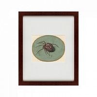 картина: spider, 1690 в Брянске