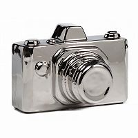предмет декора camera серебряная в Брянске