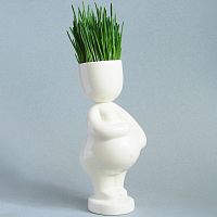 набор для выращивания eco мама в Брянске