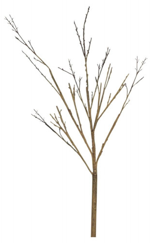 декор twig stem в Брянске