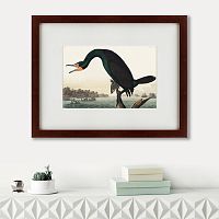 картина: florida cormorant, 1835 в Брянске
