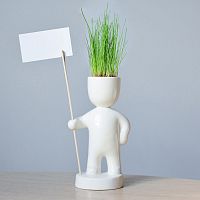 набор для выращивания eco знаменосец в Брянске