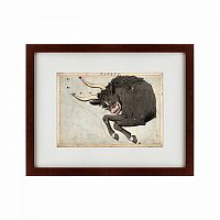картина: signs of zodiac taurus, 1825 в Брянске