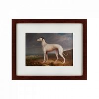 картина: portrait of a greyhound, 1744 в Брянске