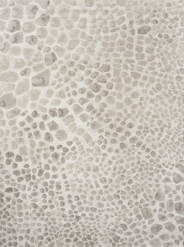 ковер ivory 64227i6575 160x230 в Брянске