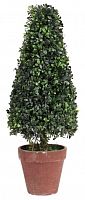 искусственное дерево в горшке topiary в Брянске