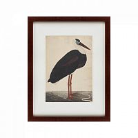 картина: black stork in a landscape, индия, 1780 в Брянске