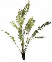 декор fern plant в Брянске