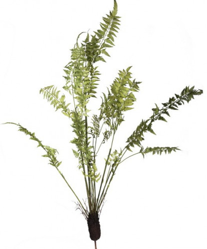 декор fern plant в Брянске