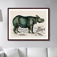 картина: rhinoceros, 1774г. в Брянске