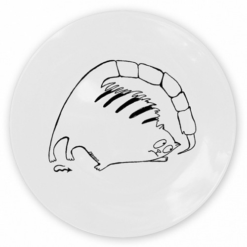 кот-скорпион в Брянске