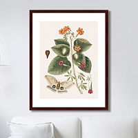 картина: beauty bloom №4, 1732г. в Брянске