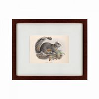картина: the squirrel, 1879 в Брянске