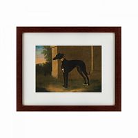картина: portrait of a greyhound called pompon, 1746 в Брянске