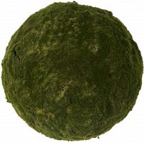 декор moss sun в Брянске