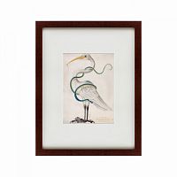 картина: heron encircled by a snake, 1700 в Брянске