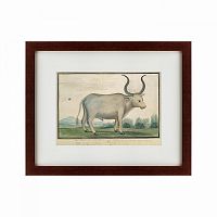 картина: cape ox, 1778 в Брянске