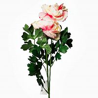 пион розовый 62 см (12) в Брянске