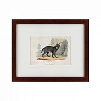 картина: a caracal or lynx, 1830 в Брянске