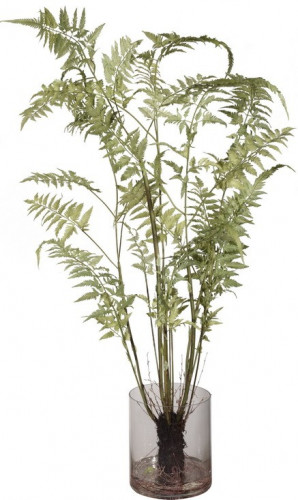 декор fern в Брянске